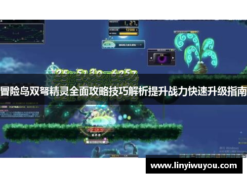 冒险岛双弩精灵全面攻略技巧解析提升战力快速升级指南